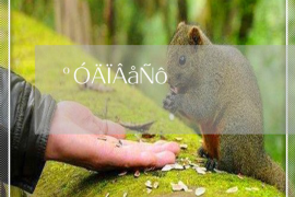 催收必備法律干貨有哪些