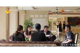 信貸催收公司營業(yè)執(zhí)照：合規(guī)經(jīng)營與風險防范