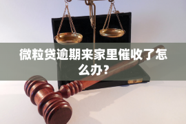 討債夫妻42331漫畫:揭秘債務(wù)催收背后的故事 討債夫妻42331漫畫:揭秘債務(wù)催收背后的故事