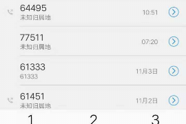 星宿討債方有錢還是還債方：揭開債務(wù)糾紛中的財(cái)富之謎
