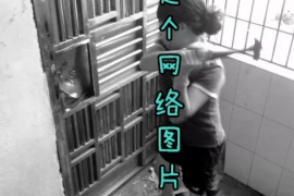 高利貸合法催收手段：揭秘合規(guī)之路