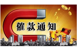 康康討債2000萬：揭秘債務(wù)追收背后的法律與策略