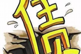 現(xiàn)金借款惡意催收：揭秘非法手段，維護(hù)自身權(quán)益