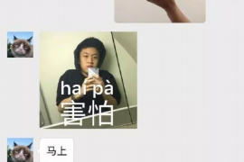 蠻不講理的人討債：如何應(yīng)對與法律維權(quán)