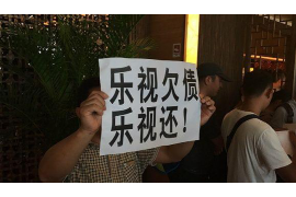 平陸要賬公司哪里找？專業(yè)服務(wù)助您高效追回欠款