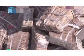 墨少的討債追妻：一場(chǎng)愛與債的糾葛