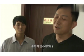 高炮催收債務(wù)問題：剖析行業(yè)痛點與應(yīng)對策略