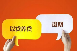 金鄉(xiāng)收債公司排名前十名：揭秘高效債務(wù)回收的幕后英雄