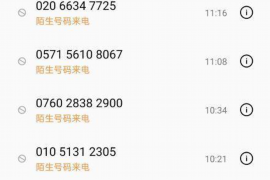 肇慶清數(shù)公司排名：揭秘行業(yè)翹楚，助力企業(yè)數(shù)據(jù)驅(qū)動(dòng)發(fā)展