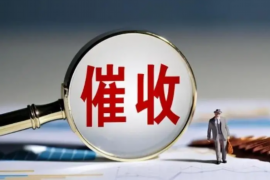 許昌檢測(cè)機(jī)構(gòu)討債：揭秘債務(wù)追收背后的故事