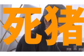 昭陽清債公司：專業(yè)債務解決方案提供商