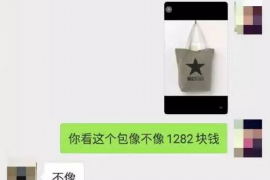 夷陵追款公司哪里找？揭秘高效追款解決方案