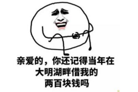 鎮(zhèn)原收債公司電話號碼查詢：高效解決債務(wù)問題