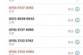 白銀要債公司：揭秘債務(wù)催收行業(yè)的專業(yè)力量