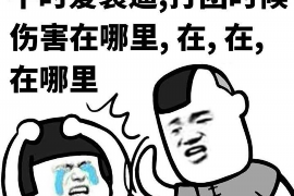 去做催收還是進(jìn)廠好？