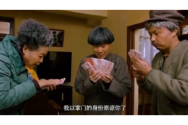 討債公司要錢沒錢還怎么辦？解決債務(wù)困境的實(shí)用指南