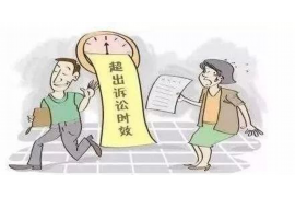 足球運(yùn)動員討債：揭秘職業(yè)球員背后的債務(wù)困境