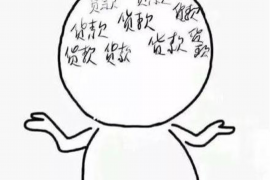 行唐要債公司哪里找？專業(yè)催收，高效解決債務(wù)問(wèn)題